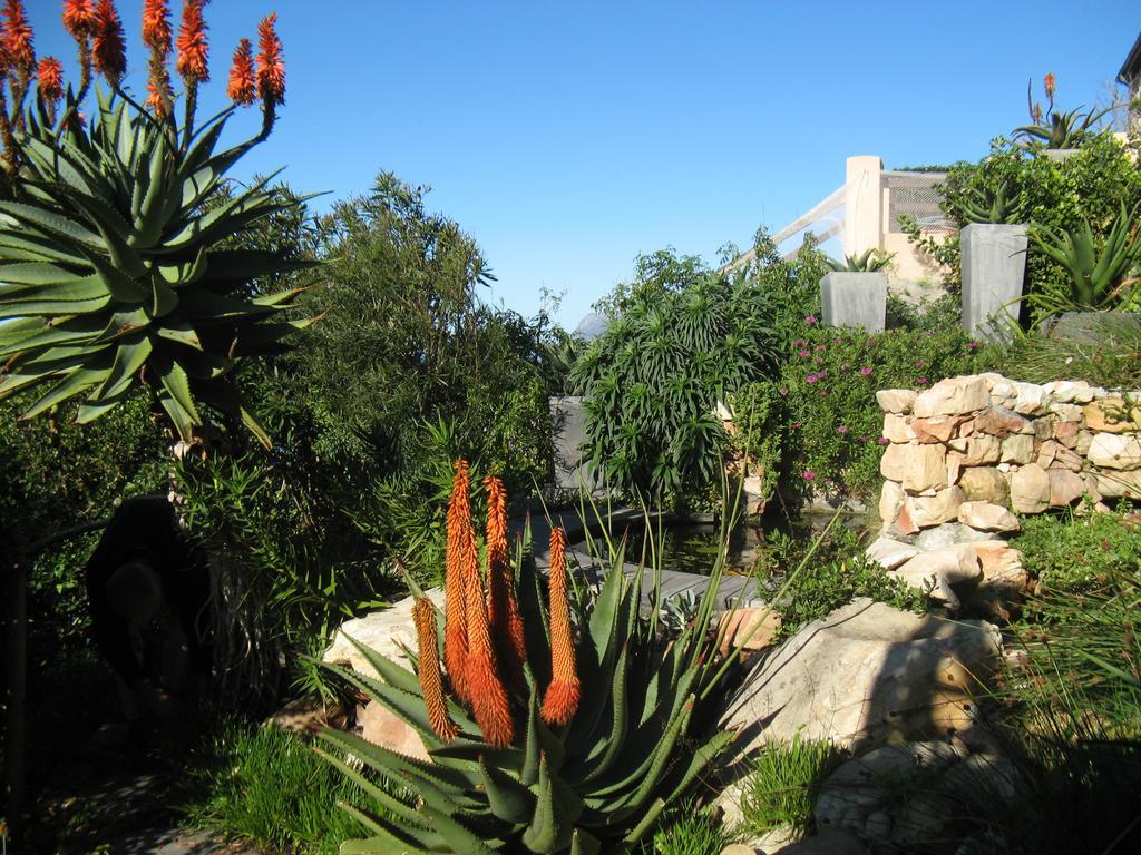 Seaview Apartment In Muizenberg Exterior photo